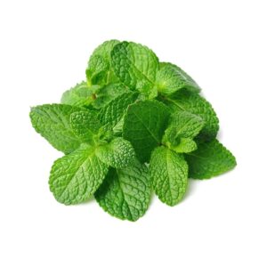 Mint leaves