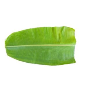 Banana leaf