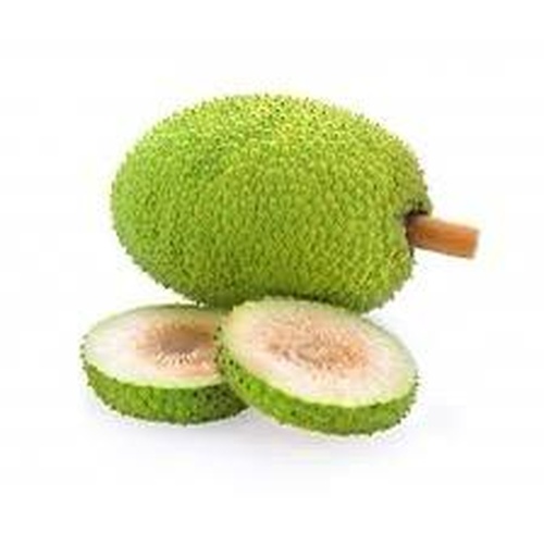 Bread fruit