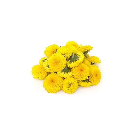 Chamanthi yellow flowers