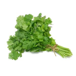 Coriander leaves