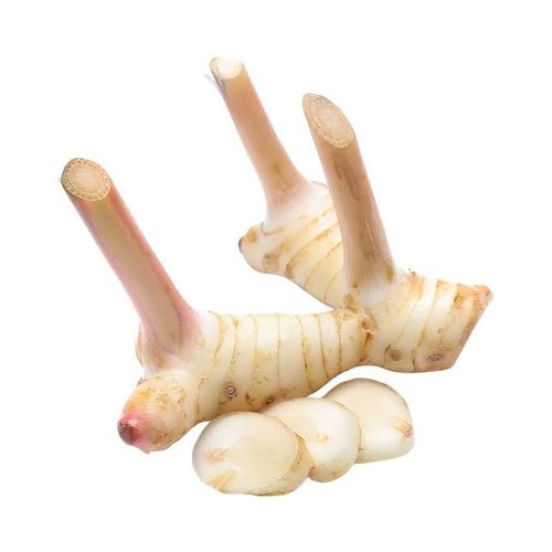 Galangal