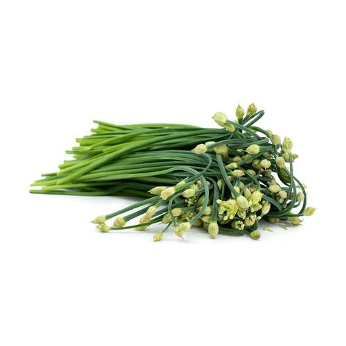 Garlic chive flowers