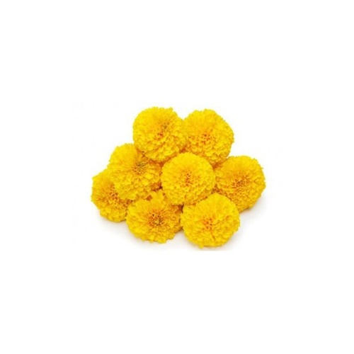 Marigold yellow