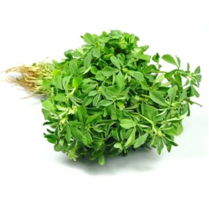 Methi leaves