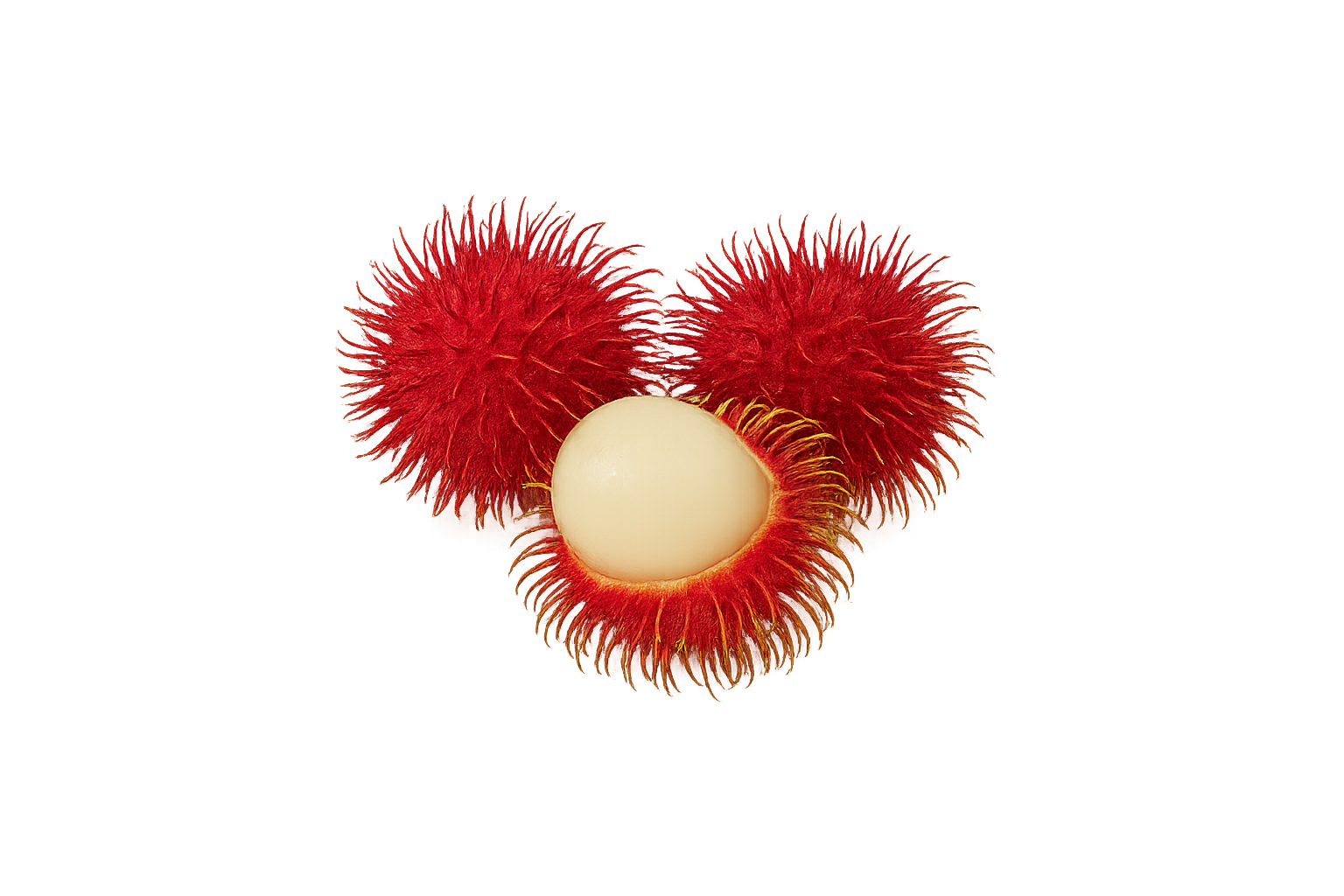 Rambutan