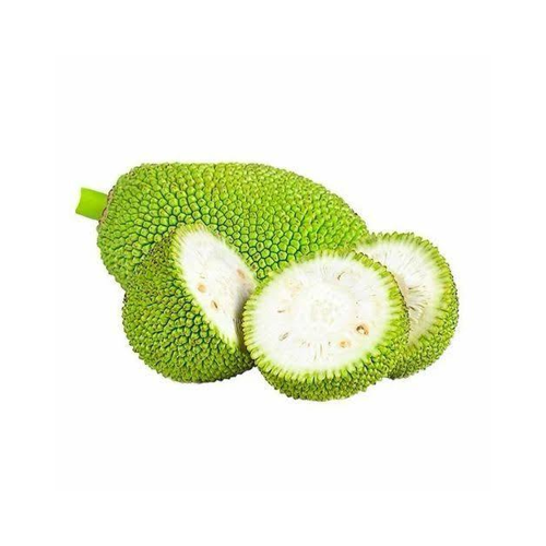 Small Tender Jackfruit